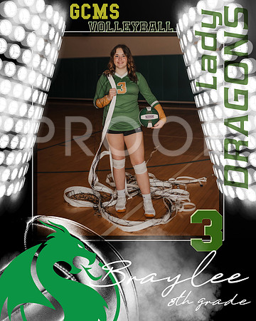 a1braylee
