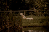 Pierce Brockman Photography-TB--6757