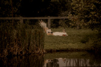 Pierce Brockman Photography-TB--6756