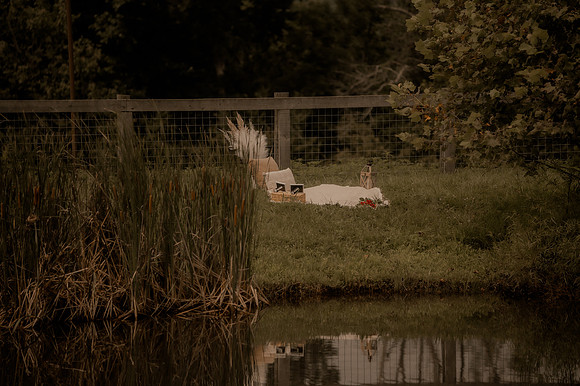 Pierce Brockman Photography-TB--6756