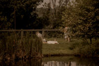 Pierce Brockman Photography-TB--6772