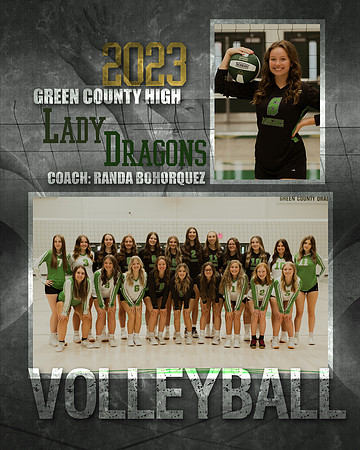 VOLLEYBALL MEMORY MATE copy