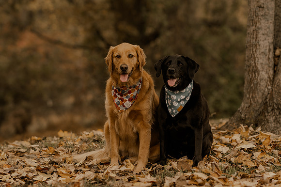 Pierce Brockman-5086