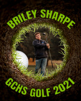 BRILEY 1