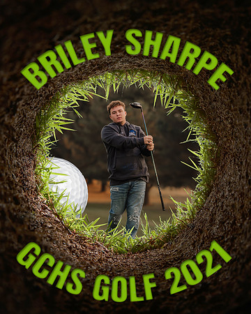 BRILEY 1
