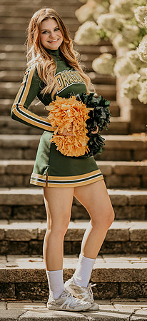 5a