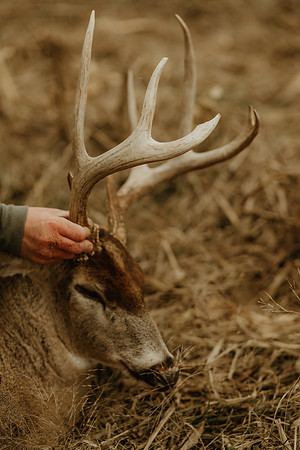Pierce Brockman-1-3719